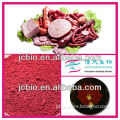 Natural Red Yeast Rice Pigment